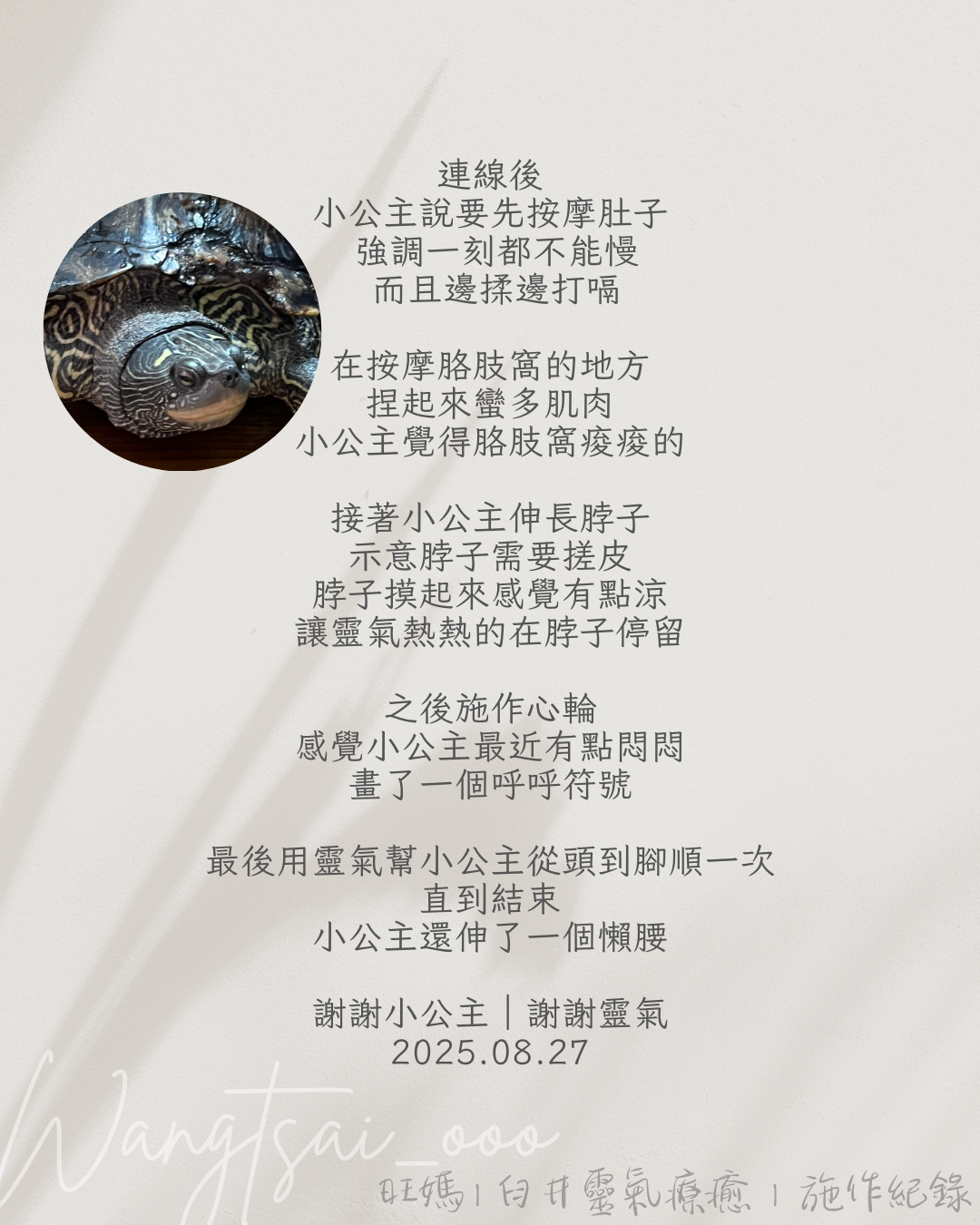 靈氣療癒紀錄 10 Usui Reiki Record 7