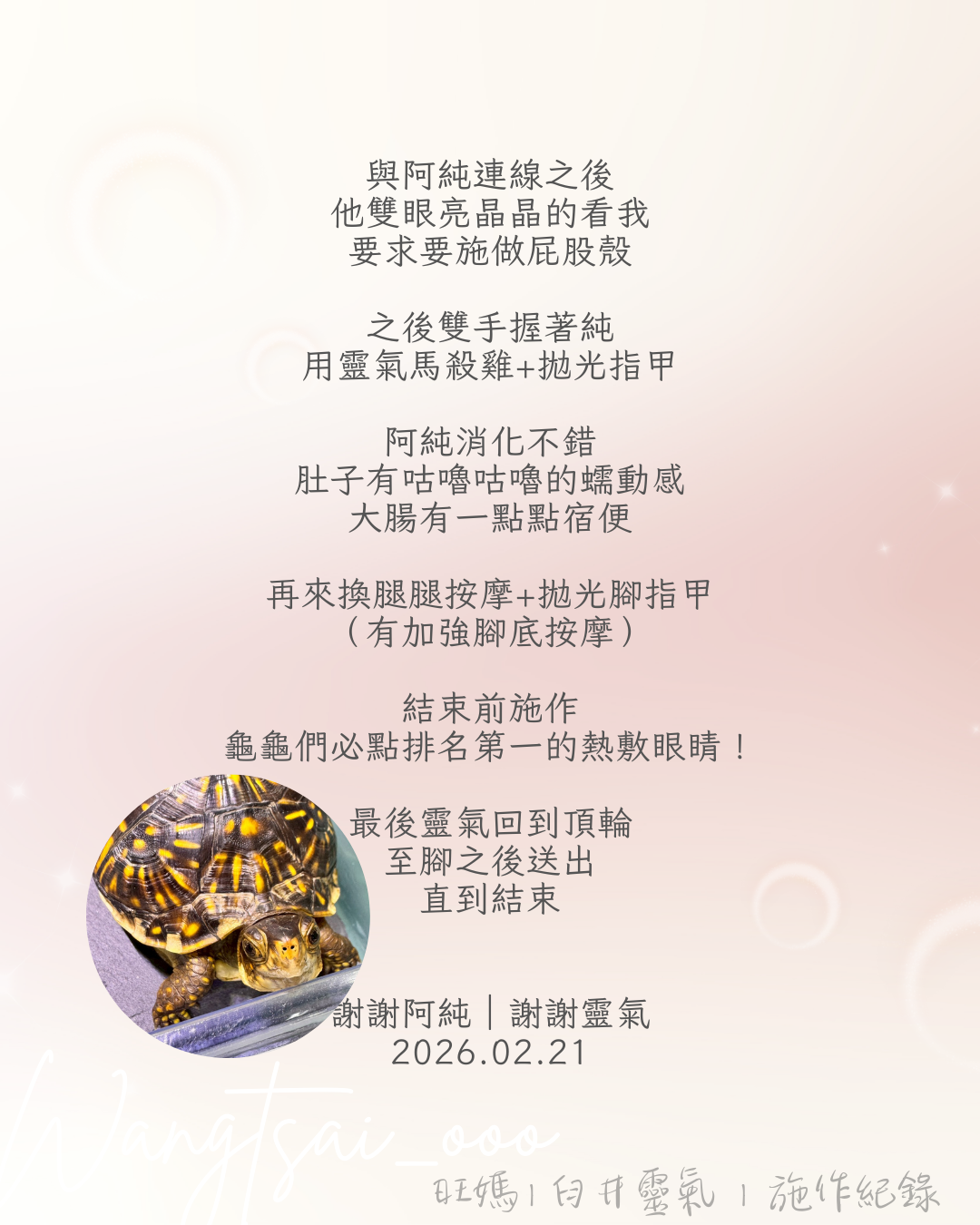 臼井靈氣紀錄 6 Usui Reiki Record 6